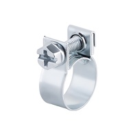 Radium EFI Hose Clamp 11.5-13.0mm SINGLE